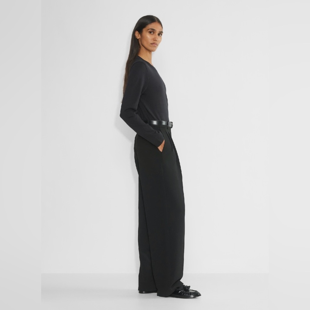 Aritizia Babaton - Pleated Pant - Picture 2 of 13